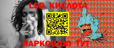 гидра Новодвинск