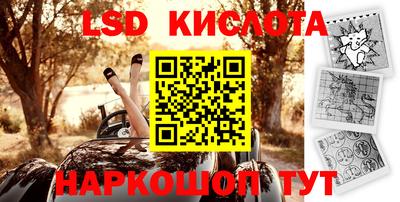 гидра Новодвинск