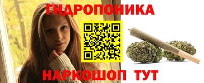 стафф Новозыбков